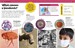 Why? Encyclopedia: Brilliant Answers to Baffling Questions [Dorling Kindersley] дополнительное фото 4.