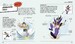 Manga Drawing School [Dorling Kindersley] дополнительное фото 4.