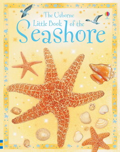 Книги для детей: Little book of the seashore