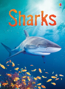 Книги для детей: Sharks - [Usborne]