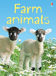 Книги про тварин: Farm animals [Usborne]