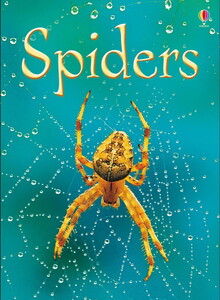 Книги про тварин: Spiders [Usborne]