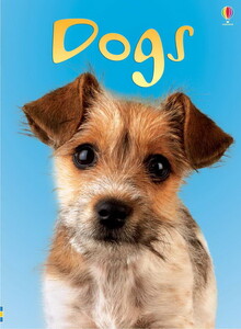 Книги про тварин: Dogs [Usborne]