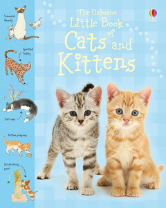Книги для дітей: Little book of cats and kittens