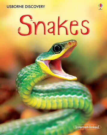 Для младшего школьного возраста: Discovery: Snakes
