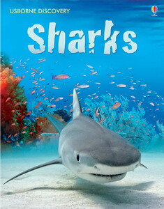 Книги про животных: Discovery: Sharks [Usborne]