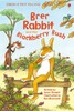 Brer Rabbit and the Blackberry Bush [Usborne]