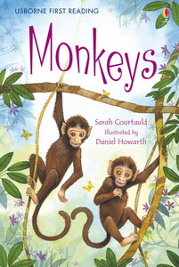 Книги для дітей: Monkeys - твёрдая обложка