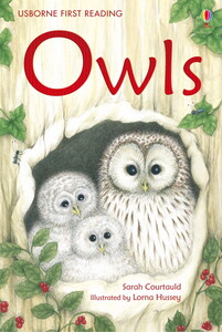 Книги для дітей: Owls - Usborne