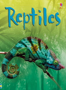 Книги для дітей: Reptiles - Usborne