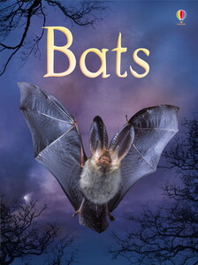 Книги для детей: Bats