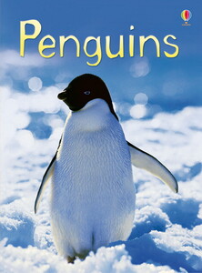 Книги про животных: Penguins [Usborne]