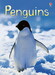 Penguins - Usborne дополнительное фото 1.