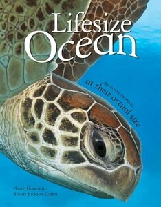 Подборки книг: Lifesize Ocean [Pan Macmillan]