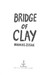 Bridge of Clay (Markus Zusak) (Markus Zusak) (9780857525956) дополнительное фото 3.