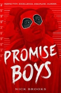 Художні: Promise Boys [Pan Macmillan]