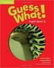 Guess What! Level 1 Pupil's Book (9781107526914)