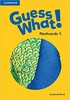 Guess What! Level 4 Flashcards (pack of 88)