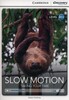 CDIR A1+ Slow Motion: Taking Your Time (Book with Online Access)