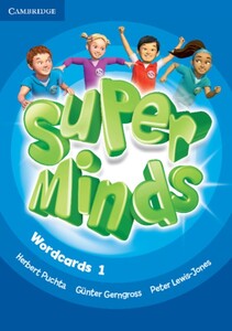 Super Minds 1 Wordcards (Pack of 90)