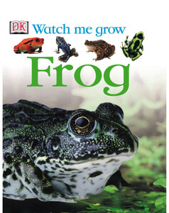 Книги для дітей: Frog