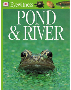 Книги для детей: Pond and River (eBook)