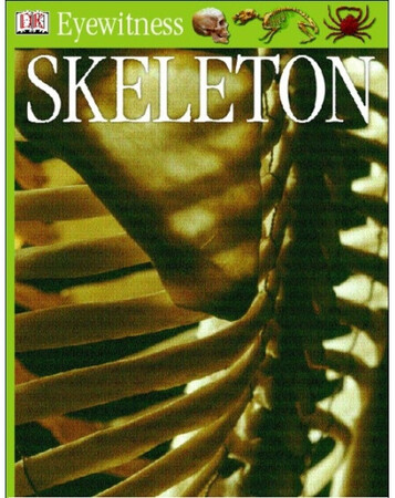 Для середнього шкільного віку: Eyewitness GUides: Skeleton (eBook)