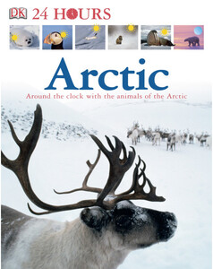 Arctic (eBook)