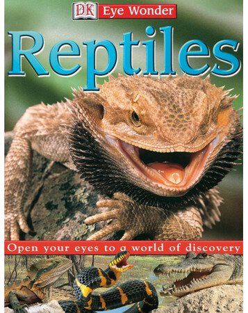 : Eye Wonder: Reptiles (eBook)