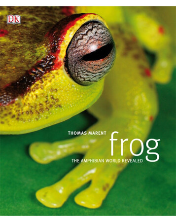 Для молодшого шкільного віку: Frog (eBook)