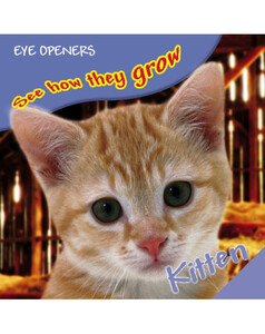 Книги для дітей: Kitten (eBook)