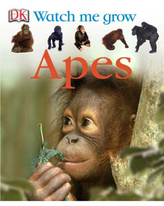 Apes (eBook)