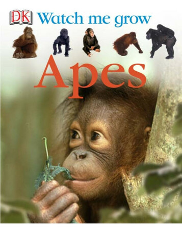 : Apes (eBook)
