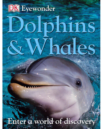 : Dolphins & Whales (eBook)
