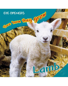 Lamb (eBook)