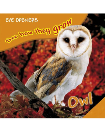 : Owl (eBook)