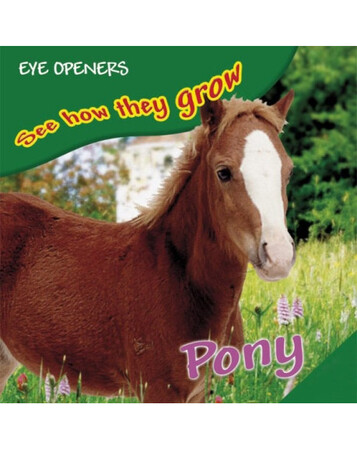 : Pony (eBook)