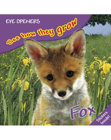 : Fox (eBook)
