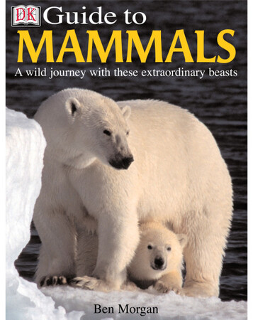 Для младшего школьного возраста: DK Guide to Mammals (eBook)