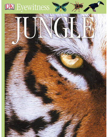 Для молодшого шкільного віку: Jungle (eBook)