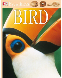 Книги для детей: Bird (eBook)