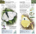 Pocket Nature Butterflies and Moths дополнительное фото 2.