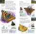 Pocket Nature Butterflies and Moths дополнительное фото 3.