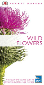 Книги для дорослих: Wild Flowers (9781405350006)