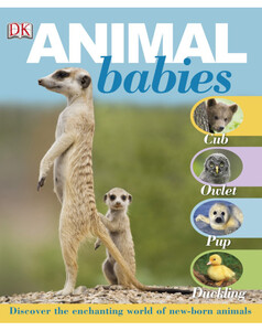 Пізнавальні книги: Animal babies (eBook)