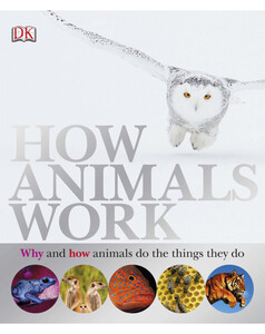 Книги для детей: How Animals Work (eBook)
