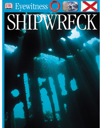 Для среднего школьного возраста: Shipwreck (eBook)