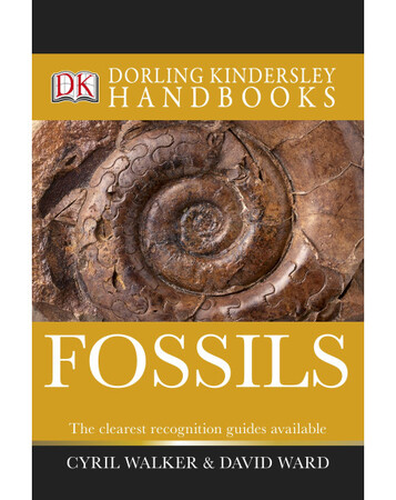 Для середнього шкільного віку: Fossils