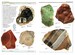 Rocks and Minerals - Dorling Kindersley дополнительное фото 1.