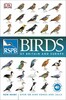 RSPB Birds